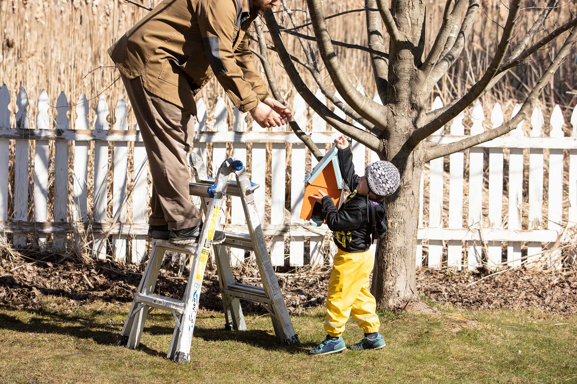 image of a boy with birdhouse