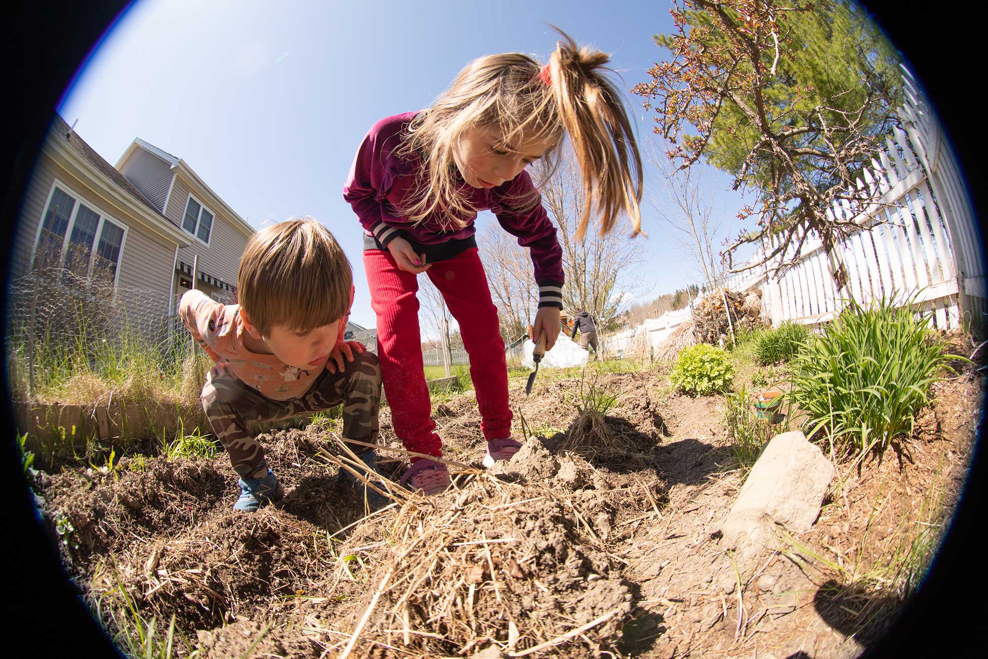 kids look at garden